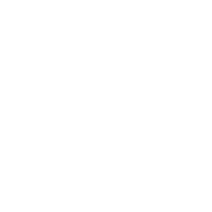 portal terra